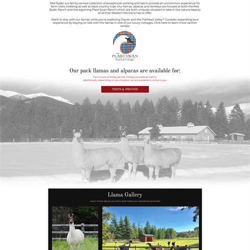 Red Ryder Llamas - Home Page